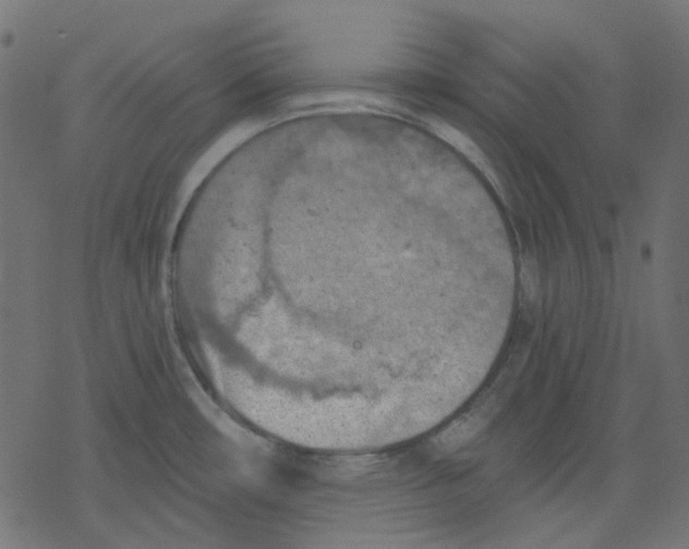 X0000078231482200612011527