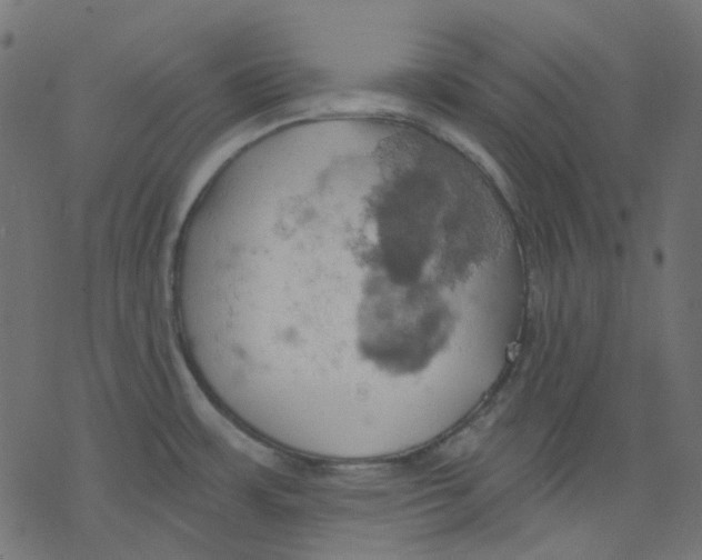 X0000078231483200612011527