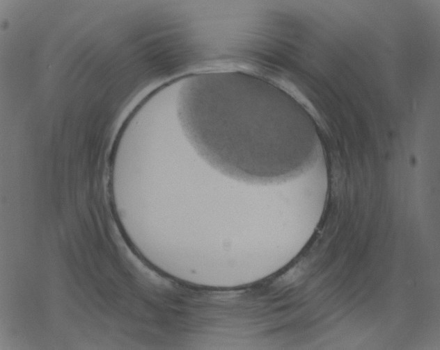 X0000078231484200612011527