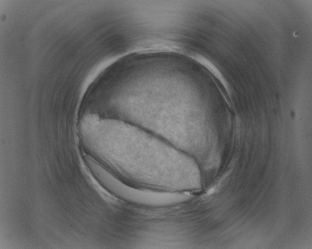 X0000078231485200612011527