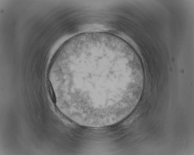 X0000078231488200612011527