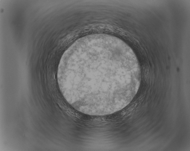 X0000078231489200612011526