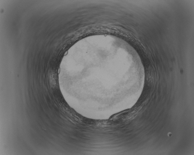 X0000078231490200612011526