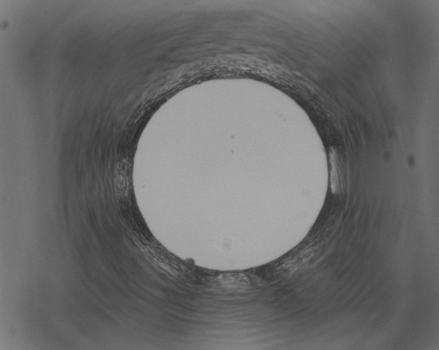 X0000078231491200612011526