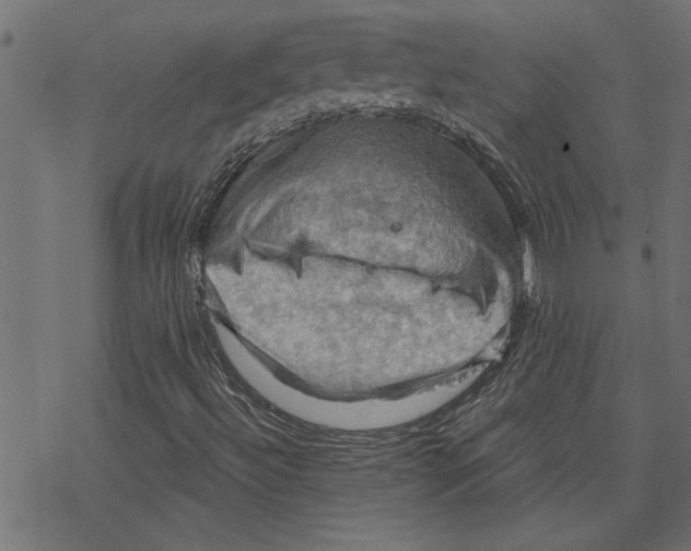 X0000078231492200612011526