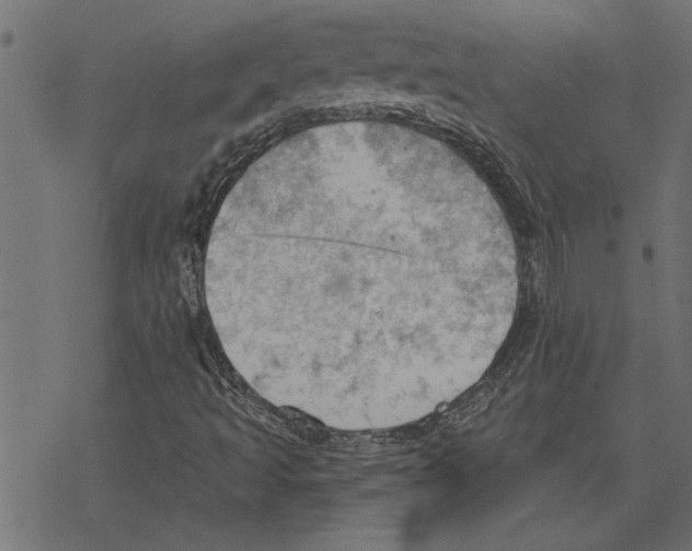 X0000078231493200612011526