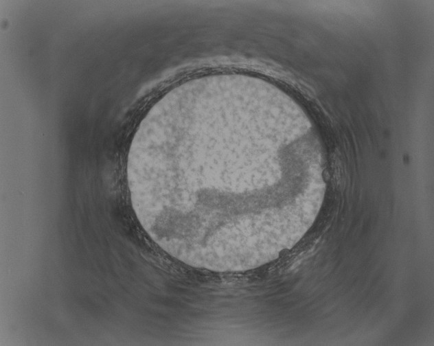 X0000078231494200612011526