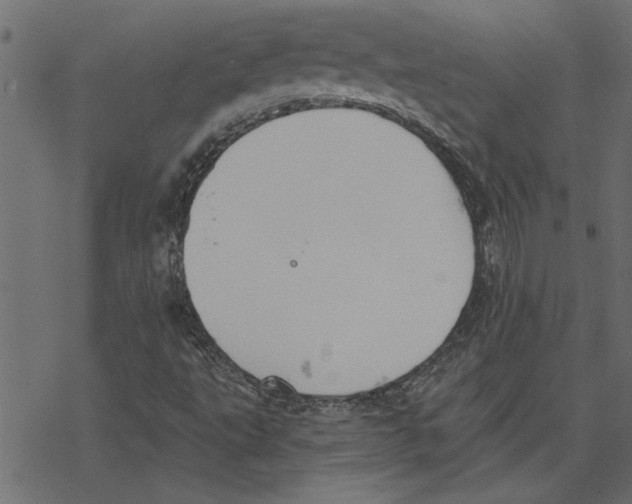 X0000078231495200612011527