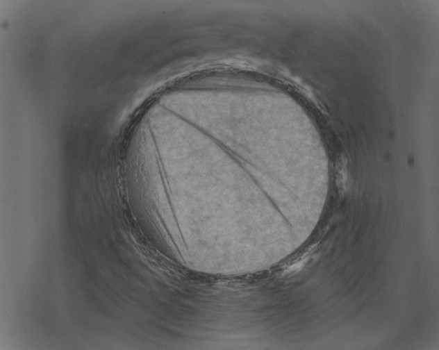 X0000078231496200612011527