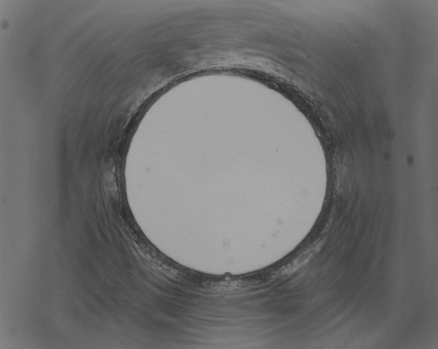 X0000078231497200612011527