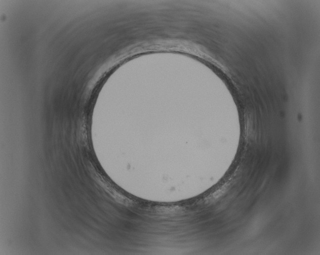 X0000078231498200612011527