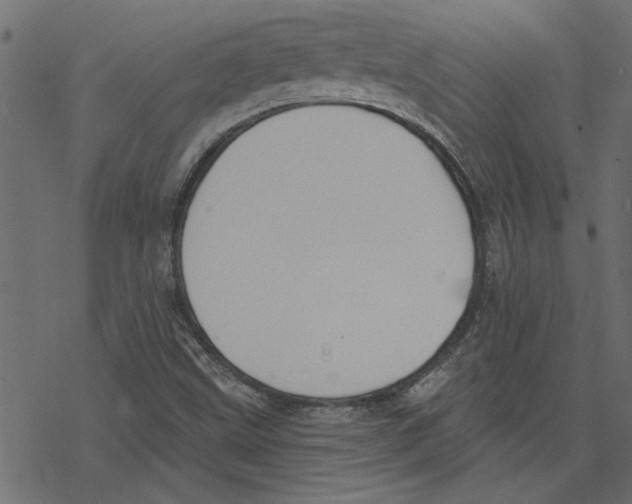 X0000078231499200612011527