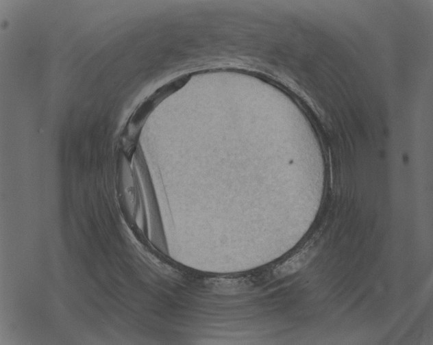 X0000078231500200612011527