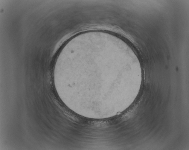 X0000078231501200612011527