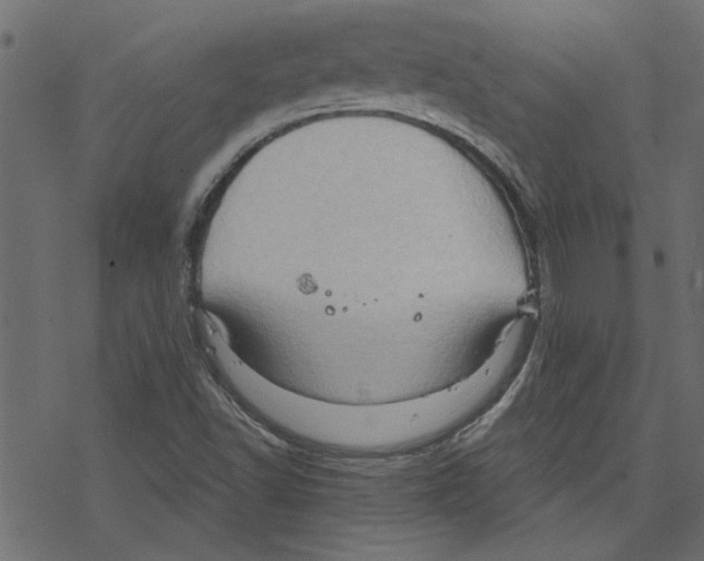 X0000078231502200612011527