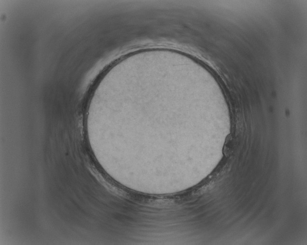 X0000078231503200612011527