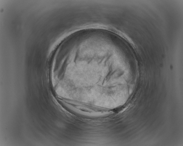 X0000078231504200612011527