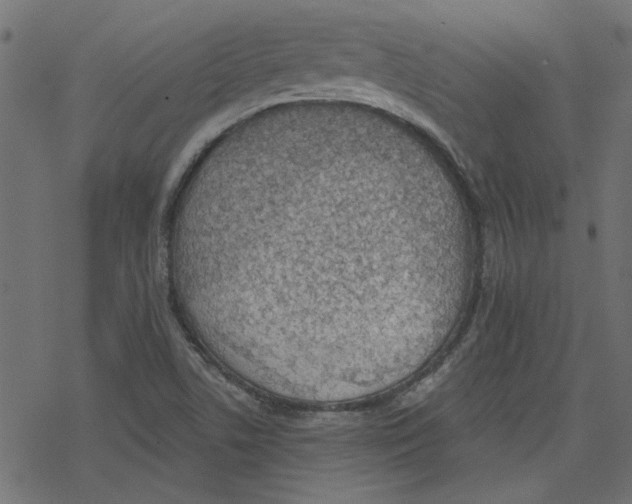 X0000078231506200612011527