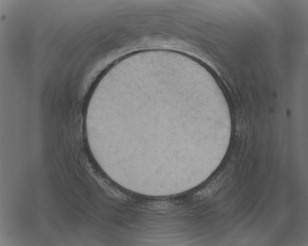 X0000078231507200612011527