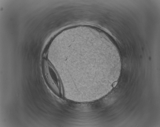 X0000078231508200612011527