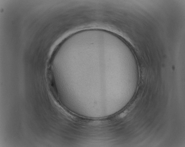 X0000078231510200612011527