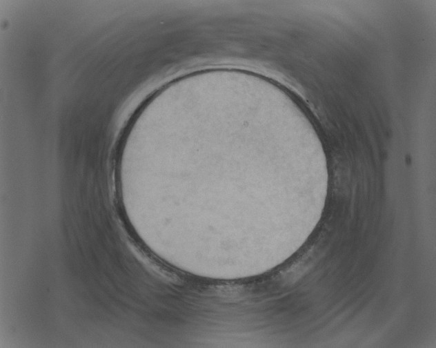 X0000078231511200612011527