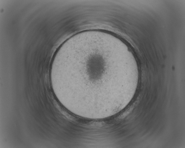 X0000078231513200612011527