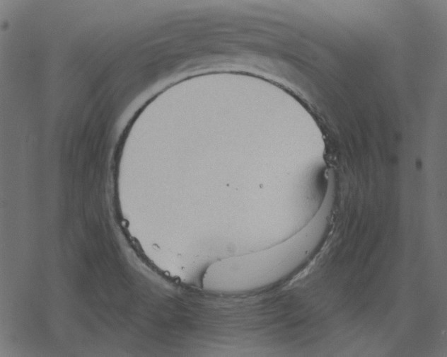 X0000078231518200612011527