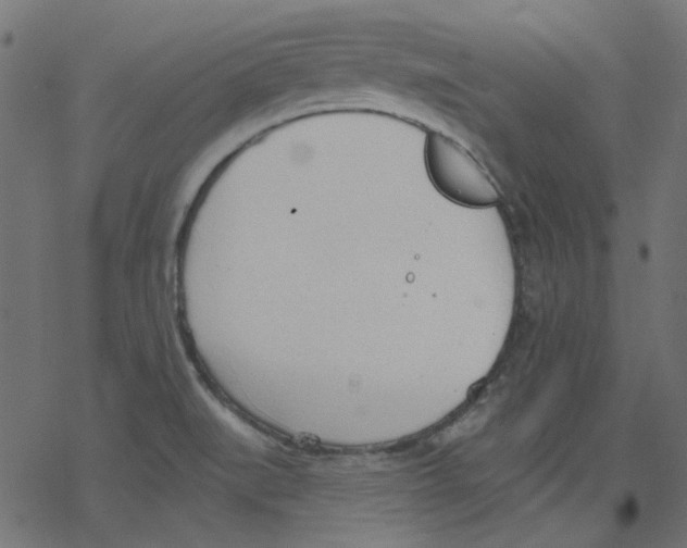 X0000078231519200612011527