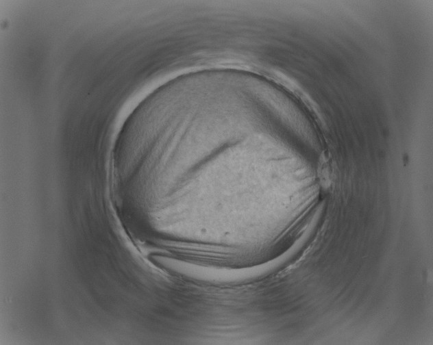 X0000078231520200612011527