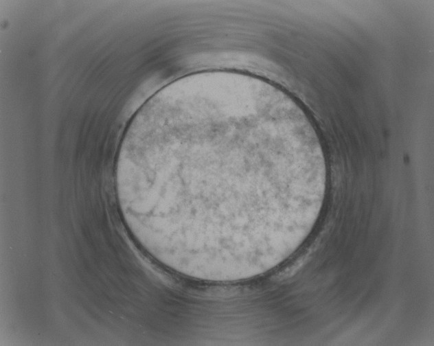 X0000078231521200612011527