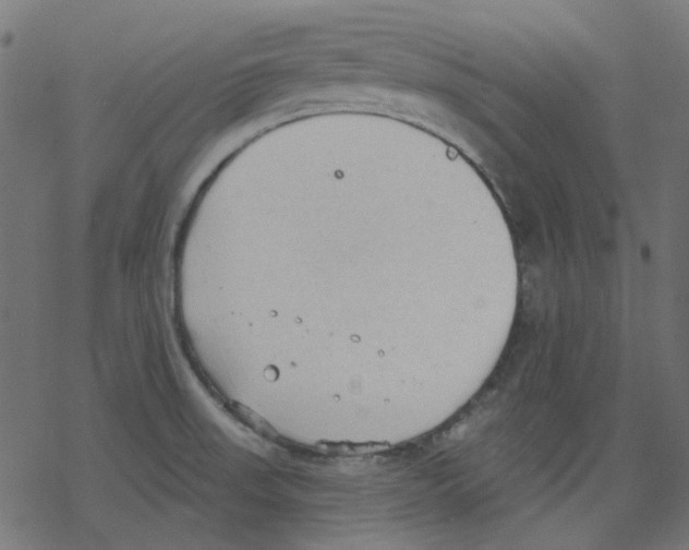 X0000078231523200612011527