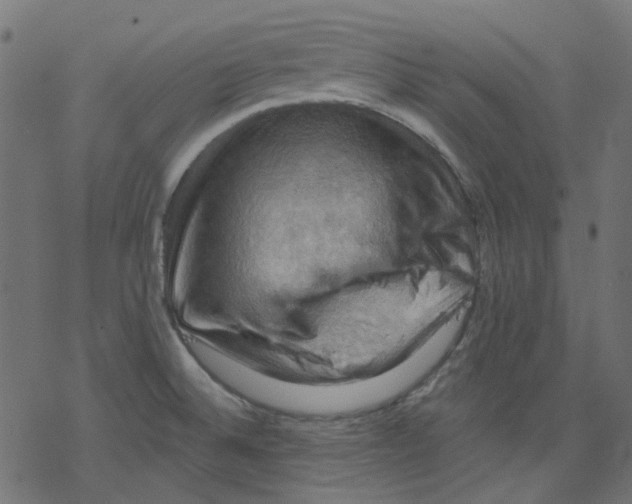 X0000078231524200612011527