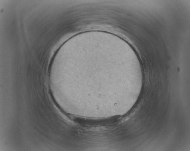 X0000078231525200612011527