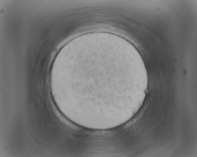 X0000078231526200612011527