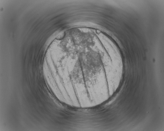 X0000078231529200612011527