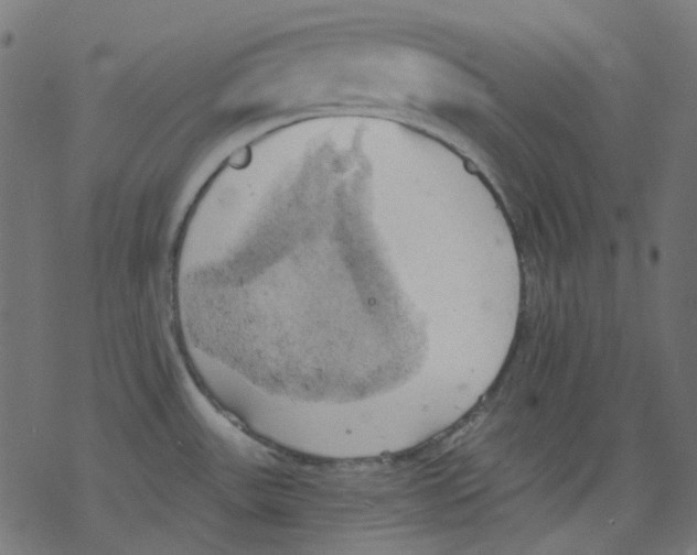 X0000078231531200612011527