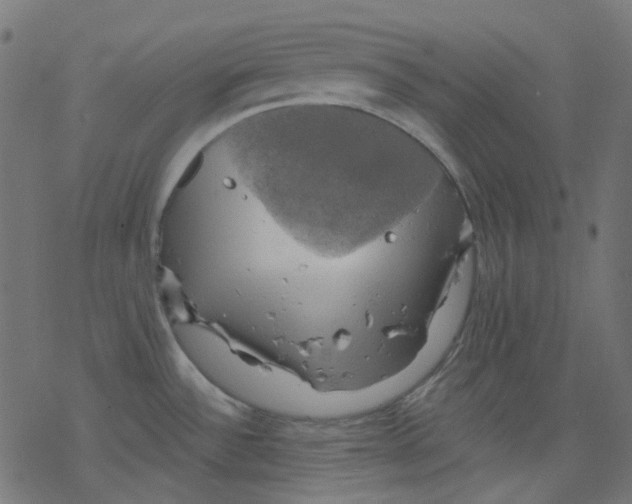 X0000078231532200612011527