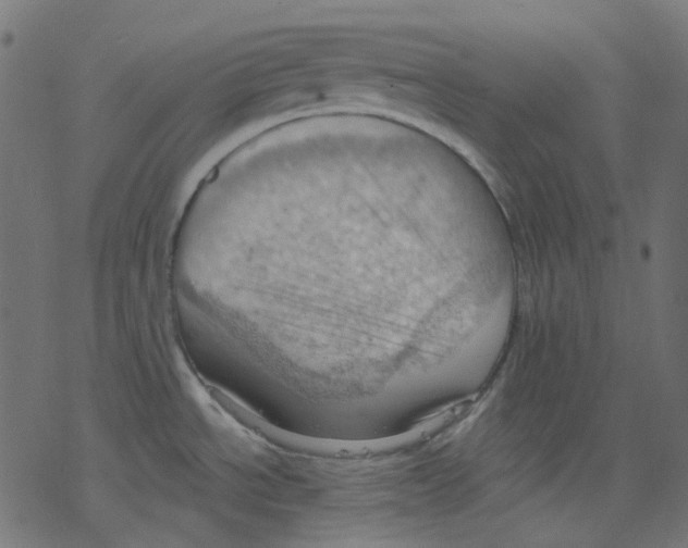 X0000078231534200612011527