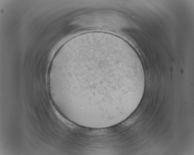 X0000078231535200612011527