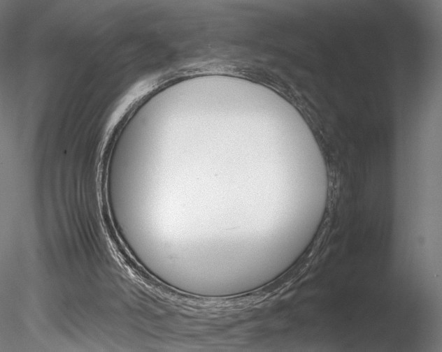 X0000078240006200611030931