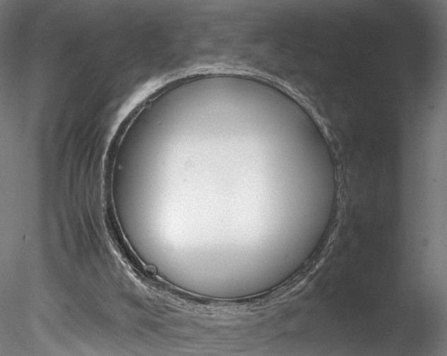 X0000078240008200611030931