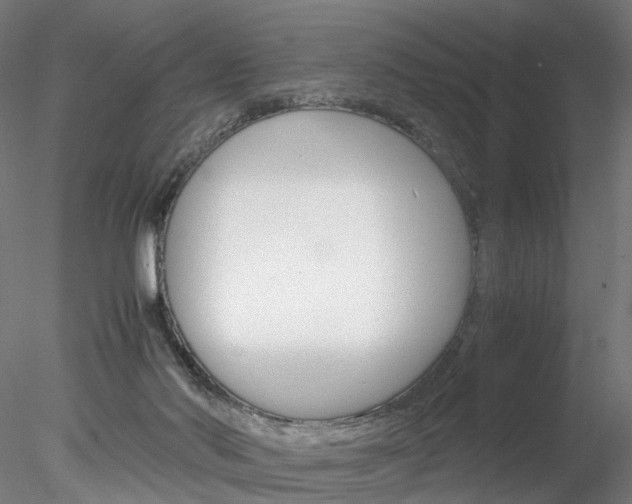X0000078240022200611030931