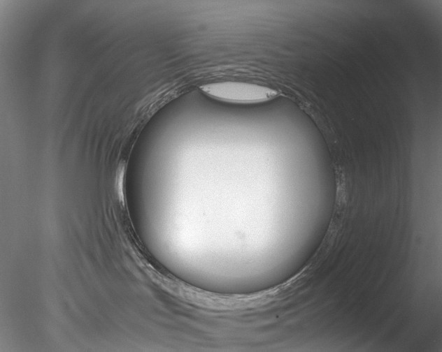 X0000078240047200611030930