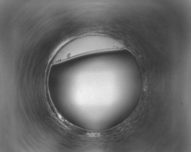 X0000078240052200611030930