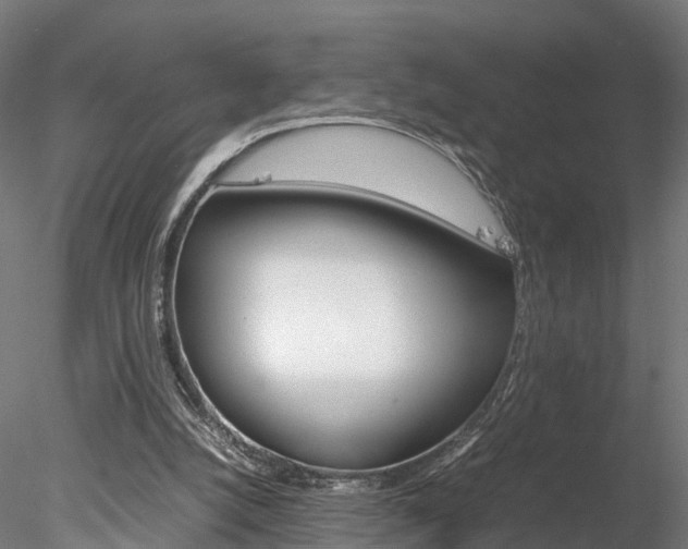 X0000078240056200611030930