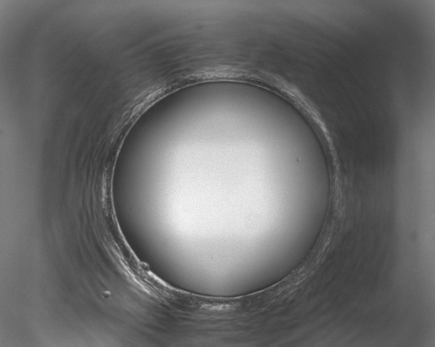 X0000078240057200611030930