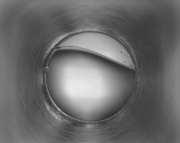 X0000078240060200611030930