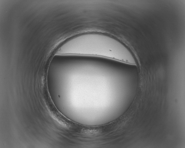X0000078240063200611030930