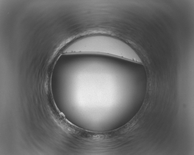 X0000078240064200611030930
